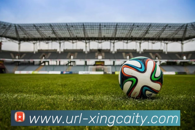 杏彩体育平台生态图