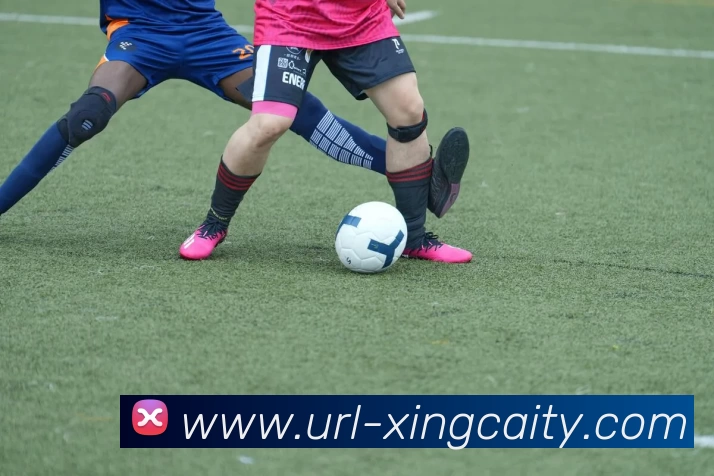 杏彩体育APP 封面图