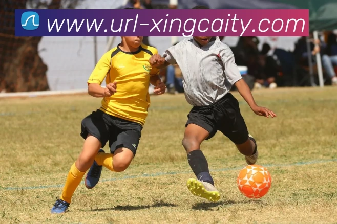 数据防护可视化